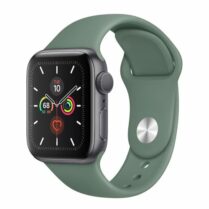Apple Watch Series 5