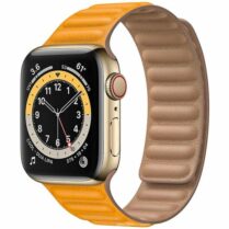 Apple Watch Series 6